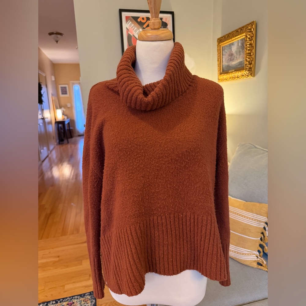 Rachel Zoe Rust Sweater Cowl Neck Sweater.